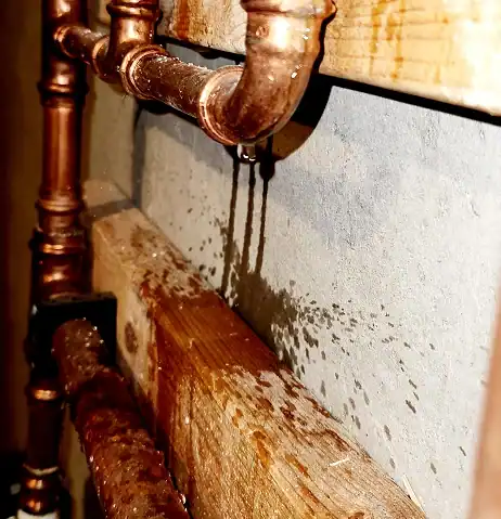 Commercial Water Services